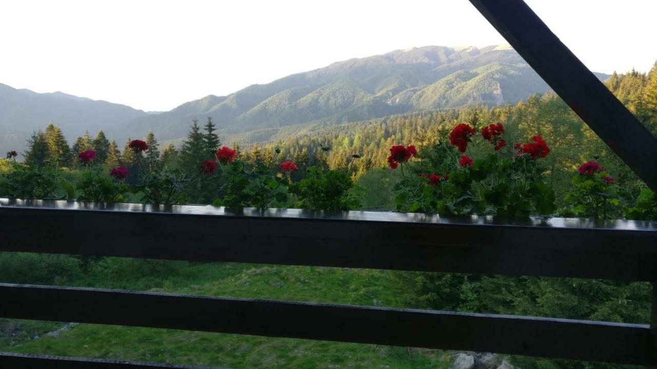 Nature House Predeal Exterior photo