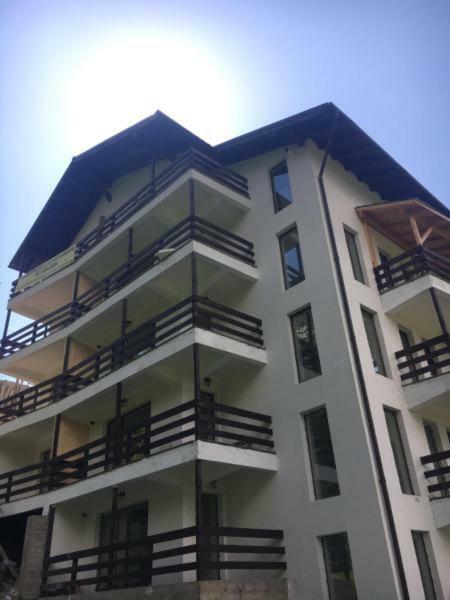 Nature House Predeal Exterior photo