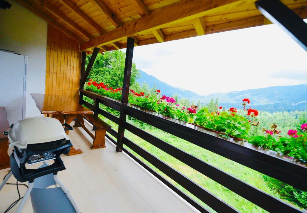 Nature House Predeal Exterior photo