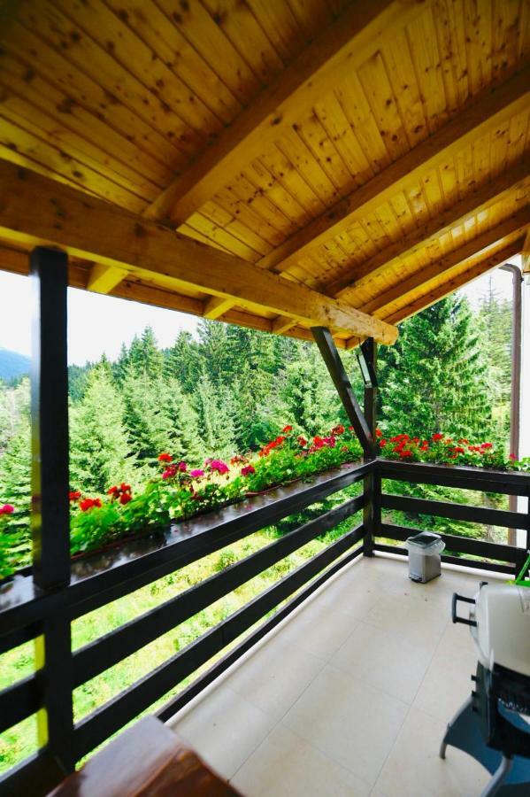Nature House Predeal Exterior photo