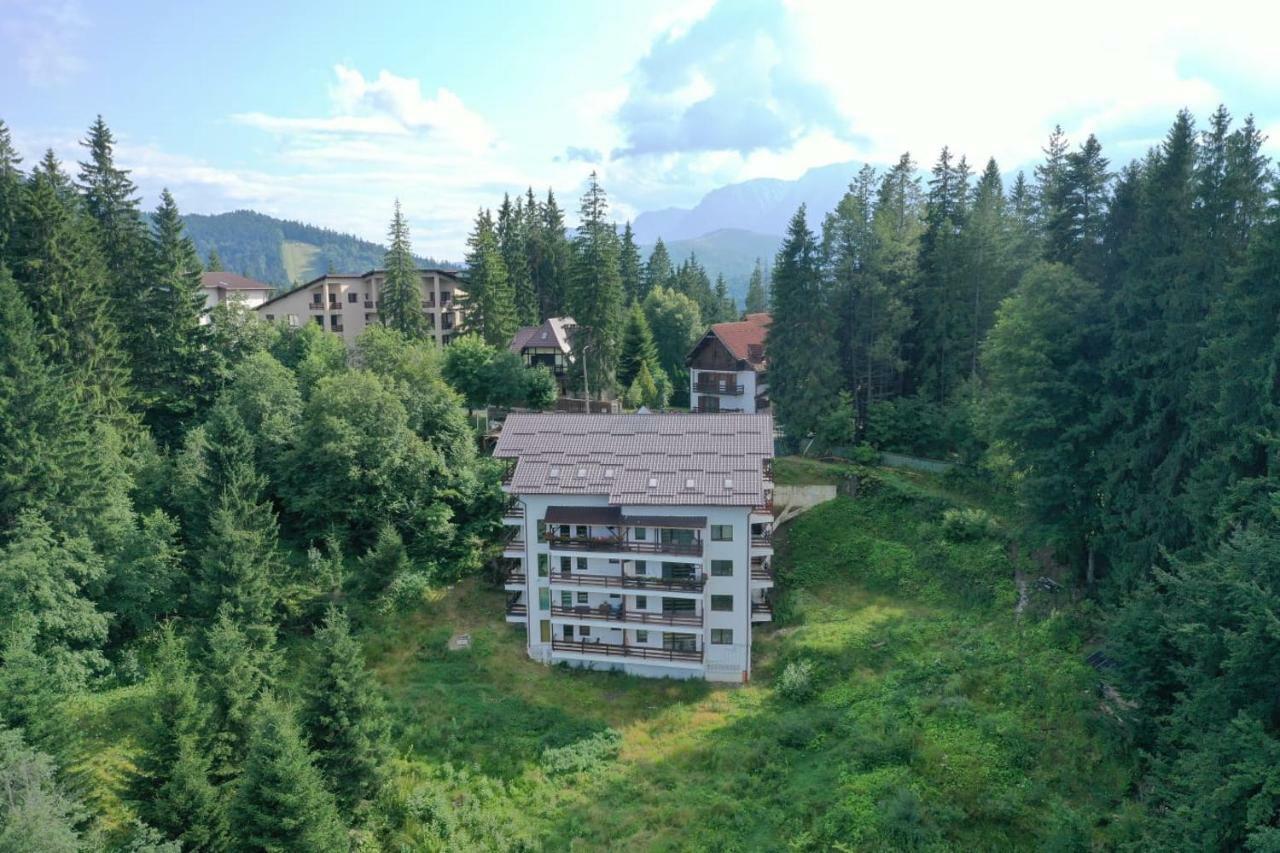 Nature House Predeal Exterior photo